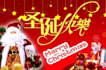 新俊祝大家圣诞节快乐！
