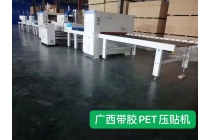 广西带胶PET压贴机